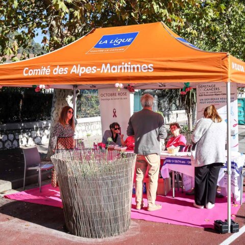 Folding gazebo 2.5x3.7