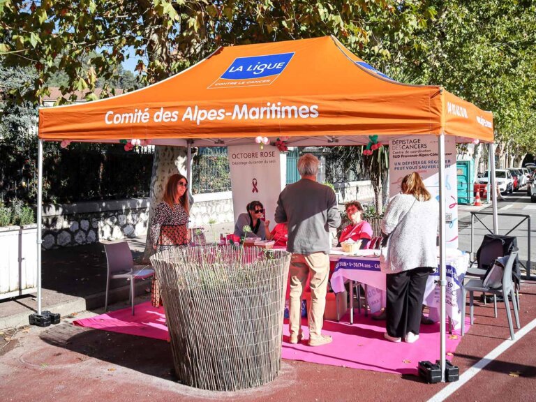 Folding gazebo 2.5x3.7