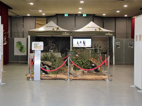 Fédération des chasseurs de côte-d’or